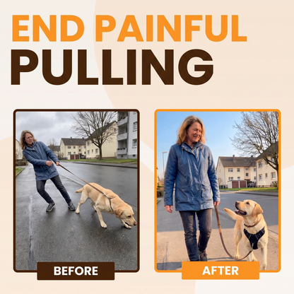 RahDawg Anti-Pull-Harness