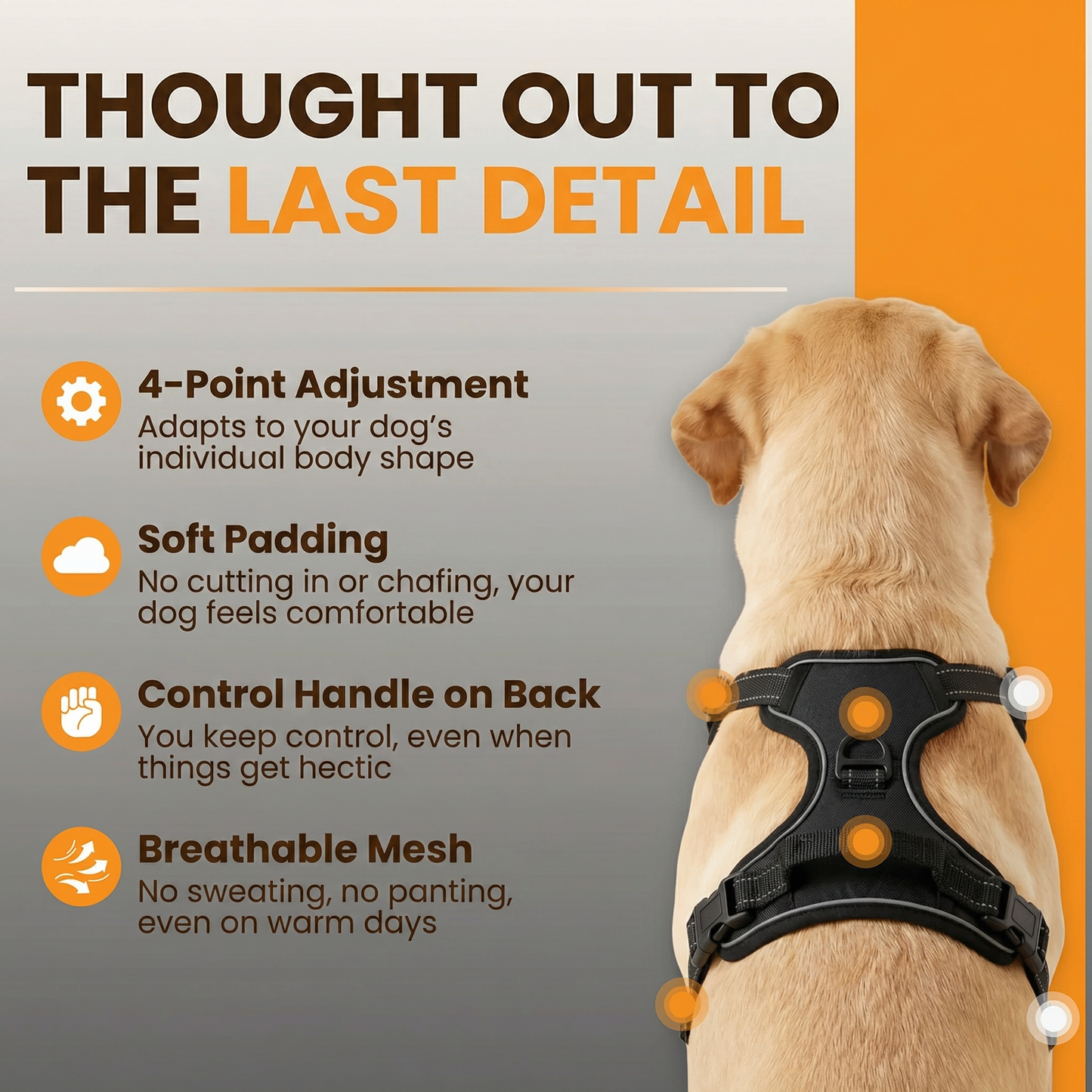 RahDawg Anti-Pull-Harness