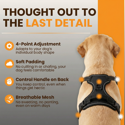 RahDawg Anti-Pull-Harness