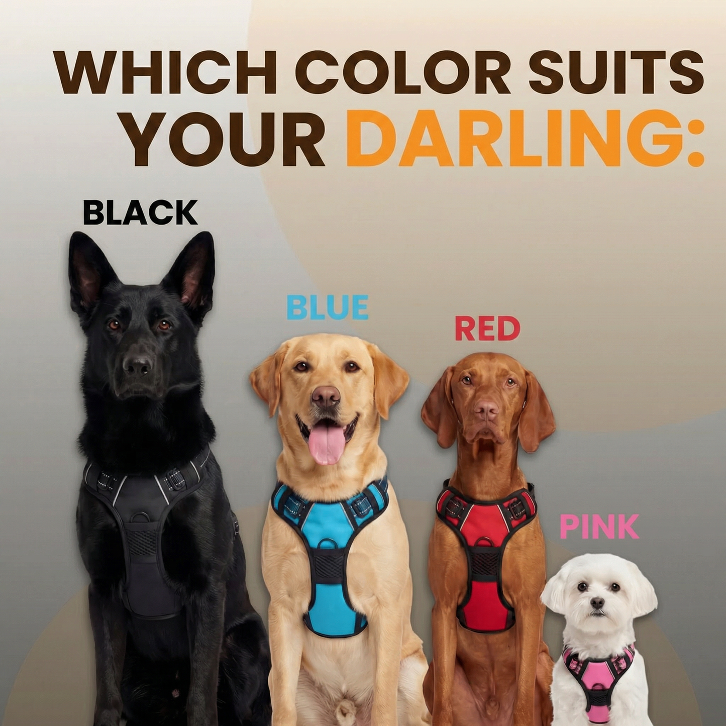 RahDawg Anti-Pull-Harness