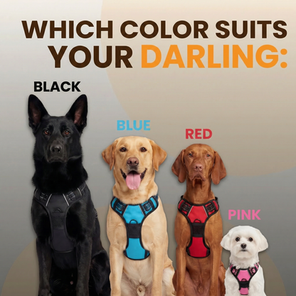 RahDawg Anti-Pull-Harness