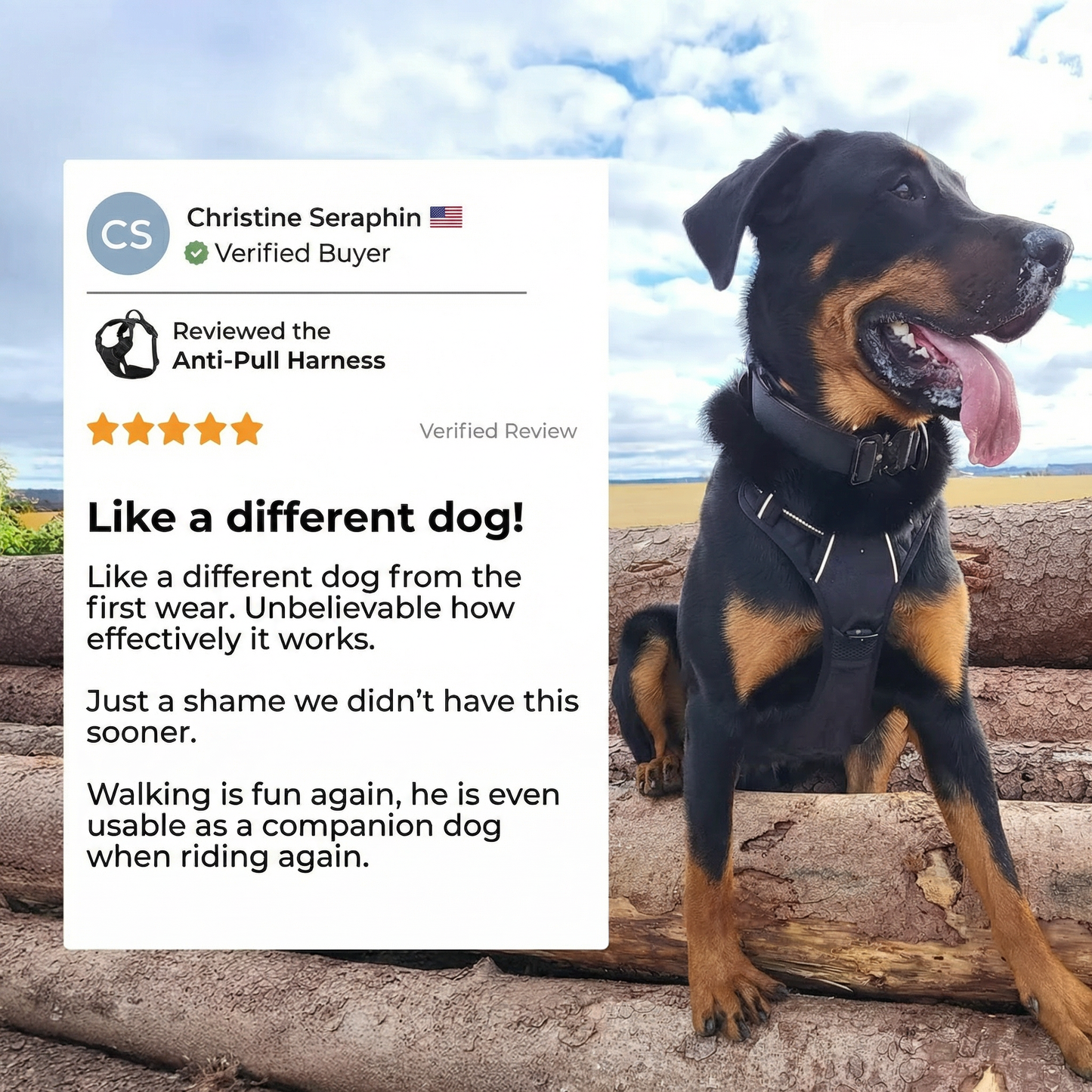 RahDawg Anti-Pull-Harness