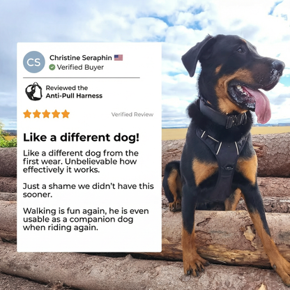 RahDawg Anti-Pull-Harness