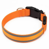 RahDawg™ Glow Collar